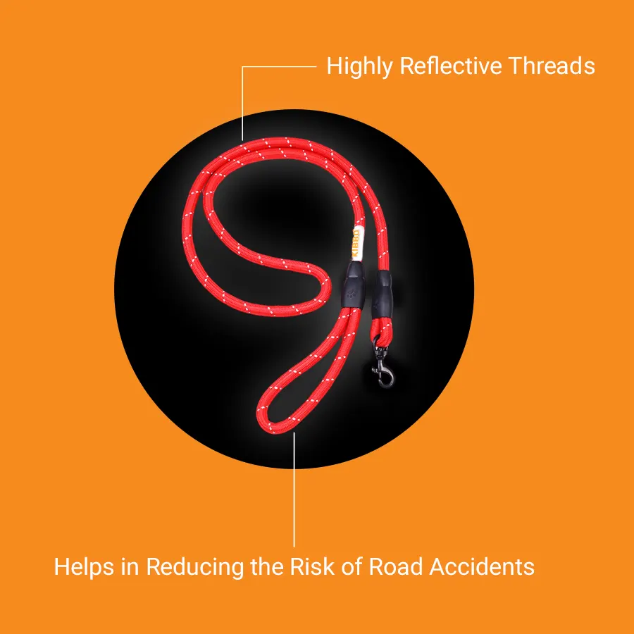 img_4.webp rope leash for dogs