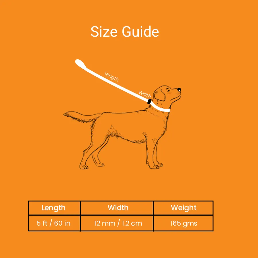 img_6-1.webp best pet product buy online