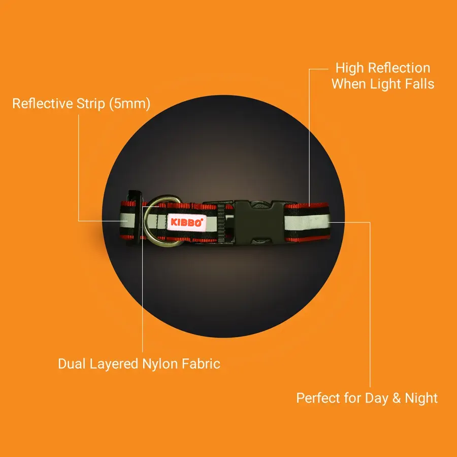 red_2 Dual Layered Reflective Nylon Pet Collar red