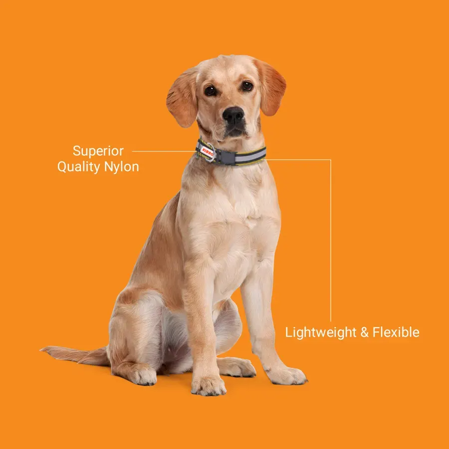 yellow_4 Dual Layered Reflective Nylon Pet Collar yellow