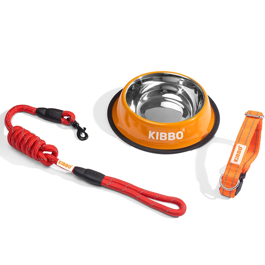 1st Image - Orange Kit