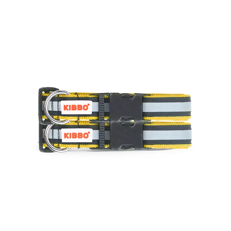 Collar_900 X 900px_6 buy dog collar online
