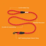 rope leash for dogs