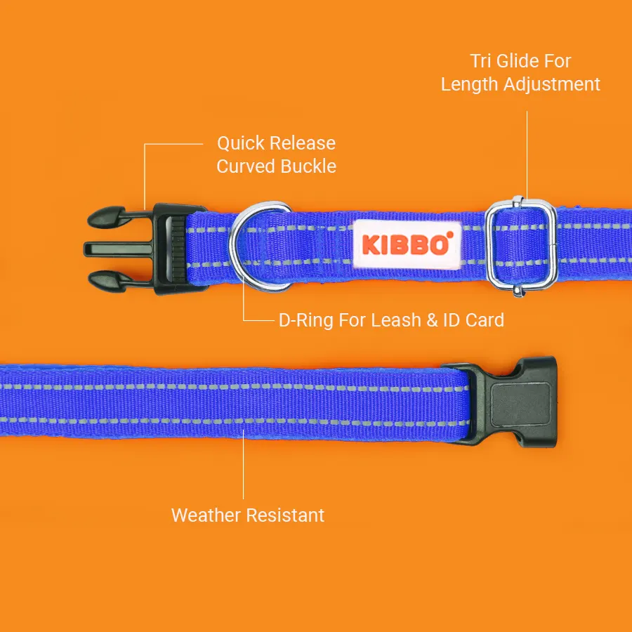 Padded-Collar_1 Reflective Padded Collar, Medium, Blue