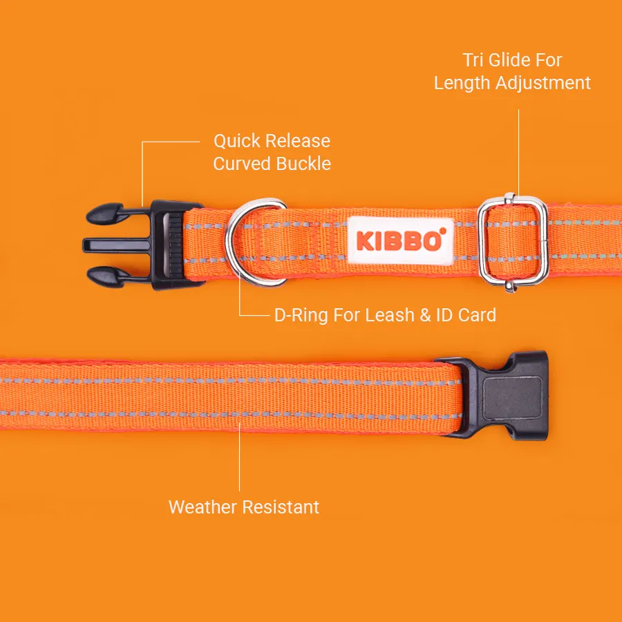 Padded-Collar_2 Reflective Padded Collar, Medium, Orange