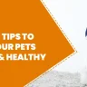 Winter tips to keep your pets Happy
