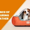 Importance of Pet Bed During Cold Weather