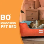 Top 5 Tips on Choosing the Ideal Pet Bed