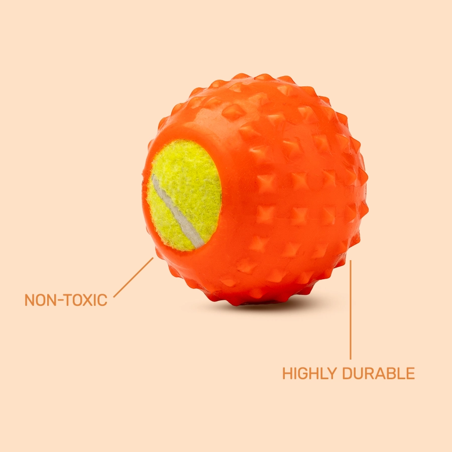 2 tennis rubber ball for pet