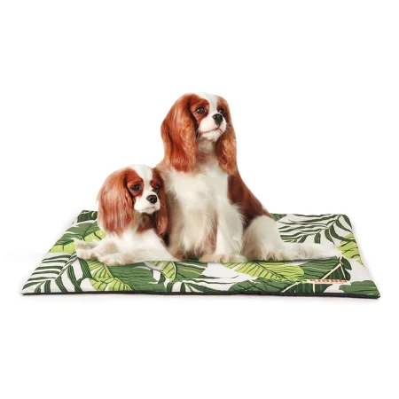 mat for dog and cat