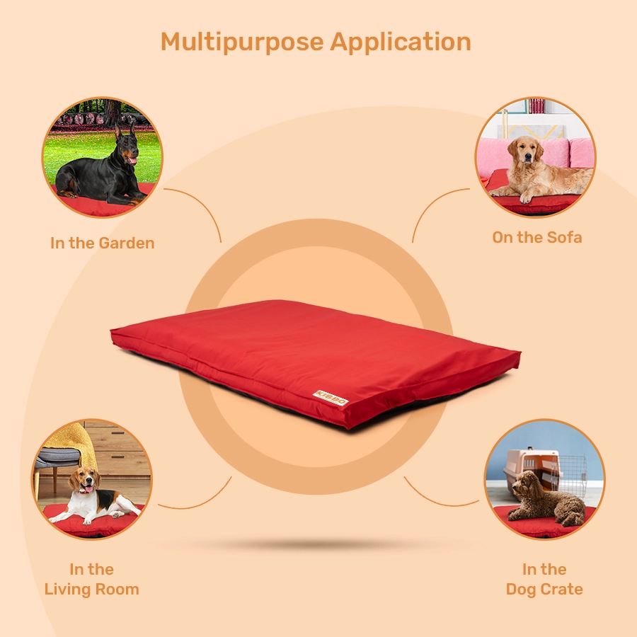 06 benefits of dog flat bed