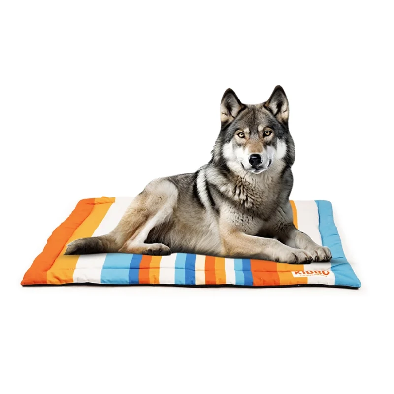 dog mat