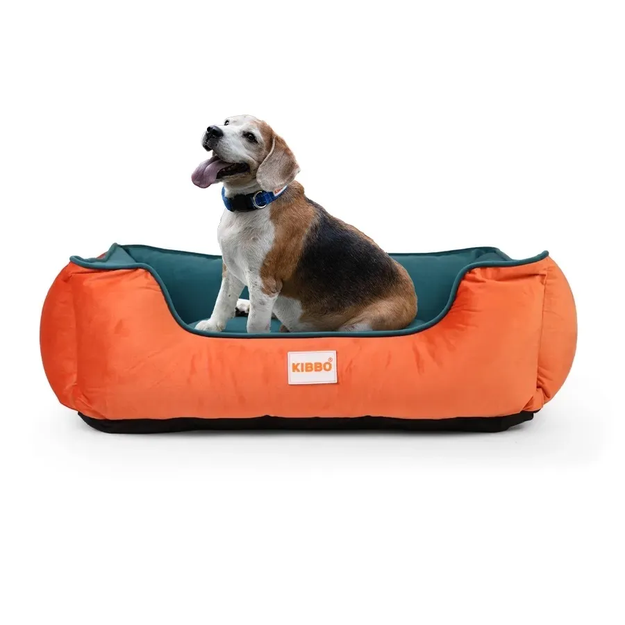 1000213854 Lounger bed for pets