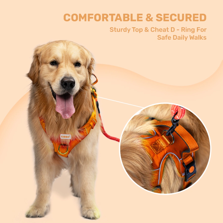 6_Vest Harness Orange dog harness buy online