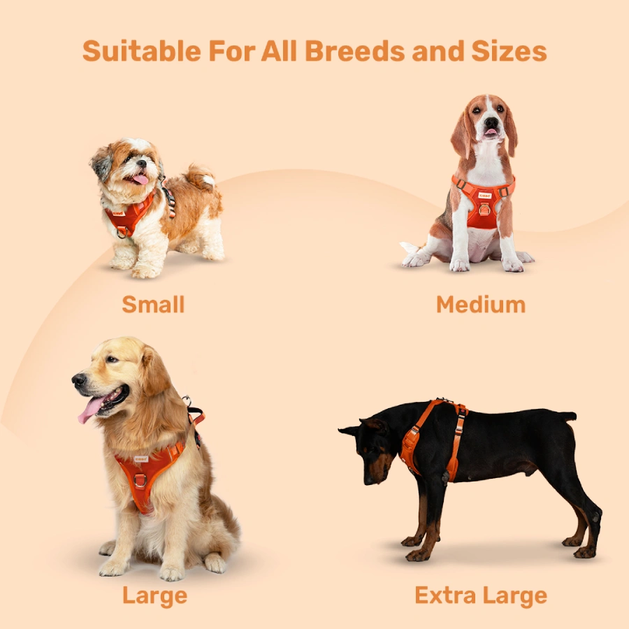 7_Vest Harness Orange kibbo vest harness