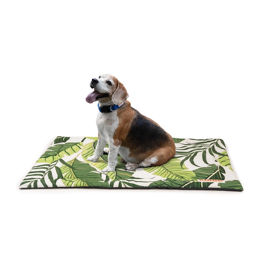 green_medium dog mat in green
