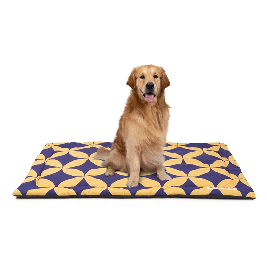 large mat for dog