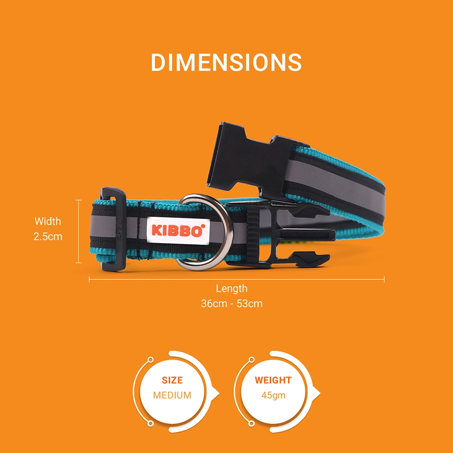 2-(M) kibbo collar for dogs