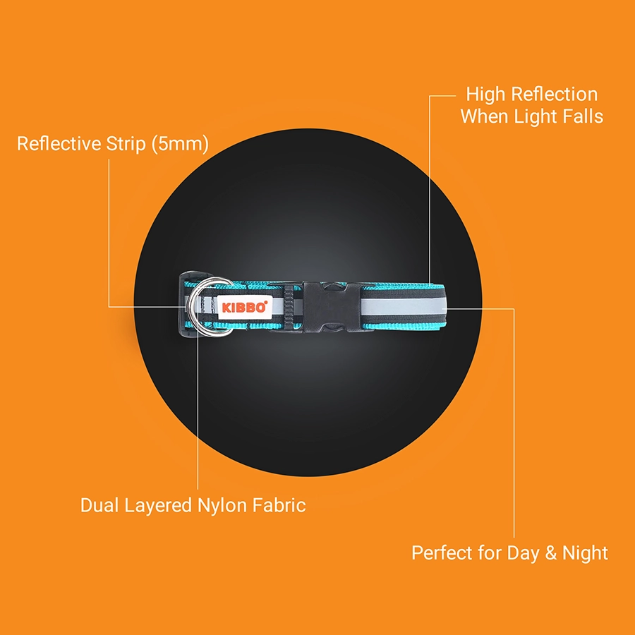 4 reflective collar sea green