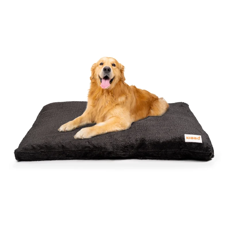 dog bed