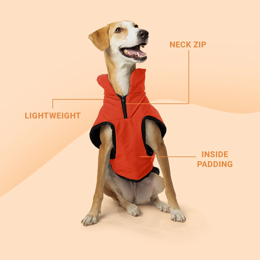 5 jacket for Dogs