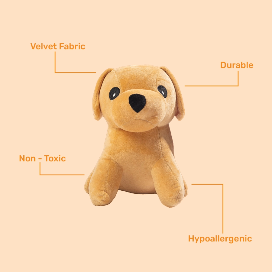 Dog_03_900X900 WEBP Dog Soft Toys