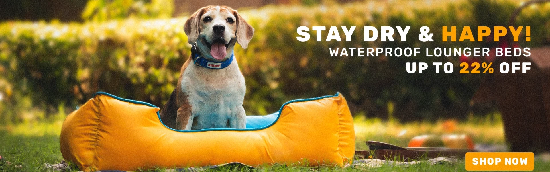 Pet bed price online