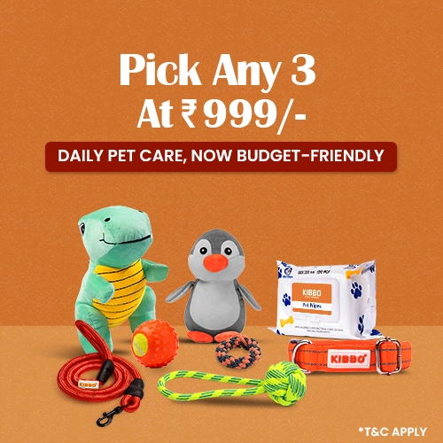 kibbo offers