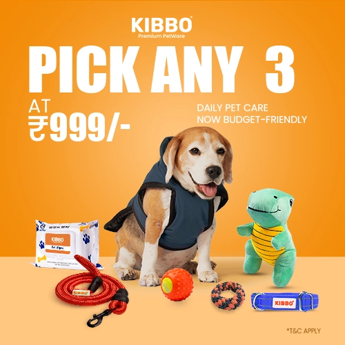 kibbo new offers