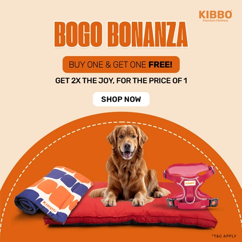 BOGO Live Banner